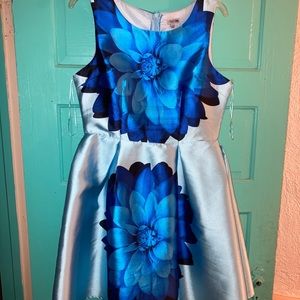 Blue Boutique Dress